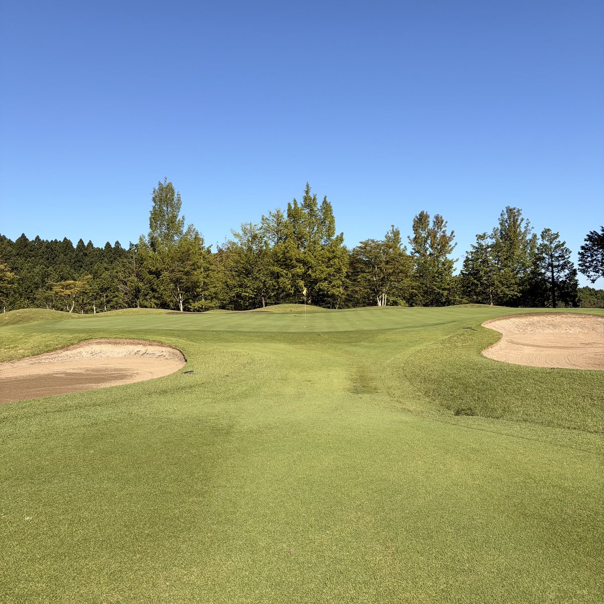 GolfProTakuya's tweet photo. 左右のバンカー、気にしすぎてませんか？⛳️

「入れたくない」と思うほど、体は固くなります😂
バンカーは気にせず、狙う場所だけ決めてショット！

皆さんならどこを狙いますか？🤔 https://t.co/A2gTGIuM9C