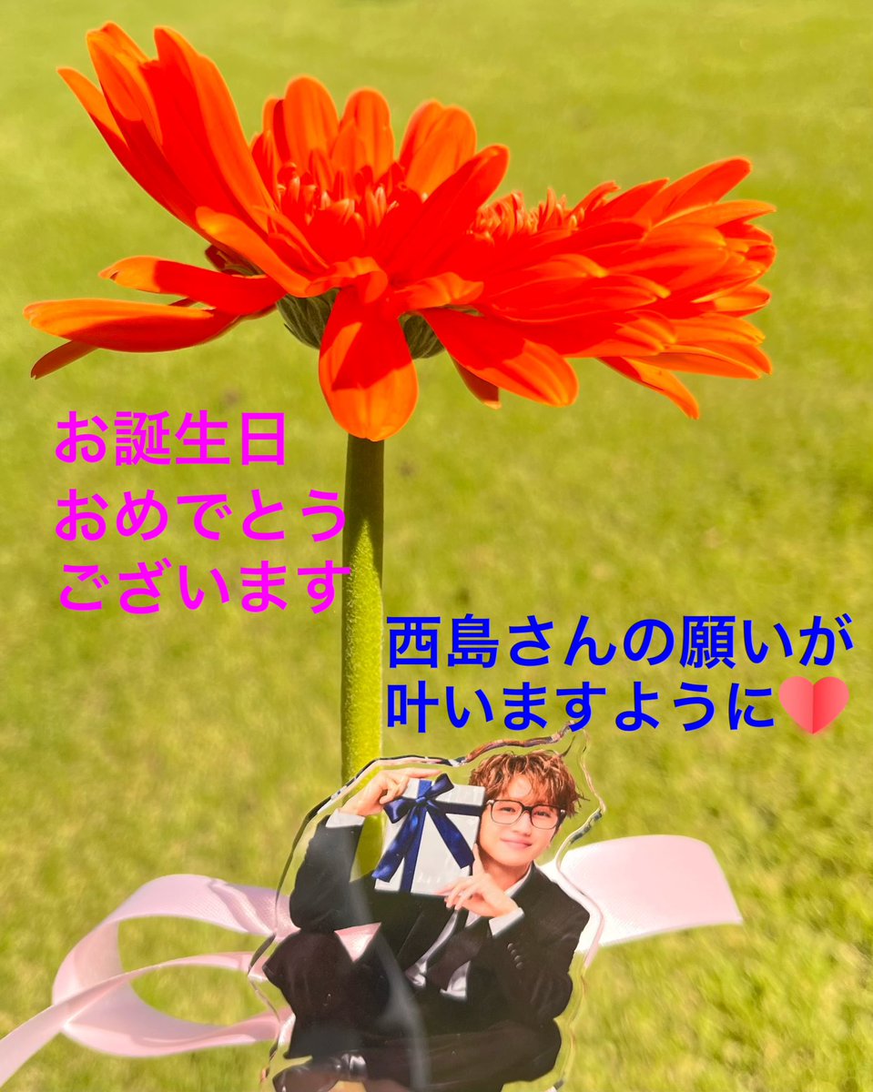 momo_teddybear's tweet photo. #NissyHBD
#Nissyに想いを込めて差し出す一輪のお花
#Nissy40thbirthday_1輪ずつを花束に💐
#西島隆弘誕生祭🪄
#Nissy0930🎩
#Nissy40thBirthday💋
#Nissy
@NissyStaff https://t.co/vSrtZouOJ4