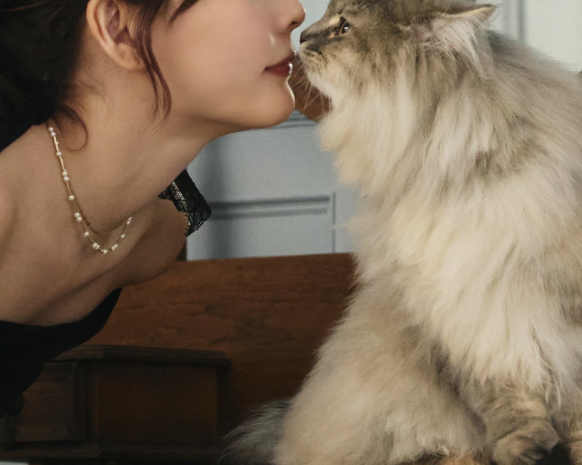 olu_myself's tweet photo. この秋、Olu.にまた新しい物語がはじまる予感。🐈🥀 https://t.co/Pv6VxSRDOp