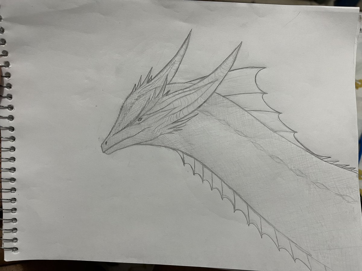 rainostalgico89's tweet photo. to orgulhoso do meu desenho de sunfyre, e o chat gpt fechou com a descrição de cor q eu dei https://t.co/JghsF6Fs05