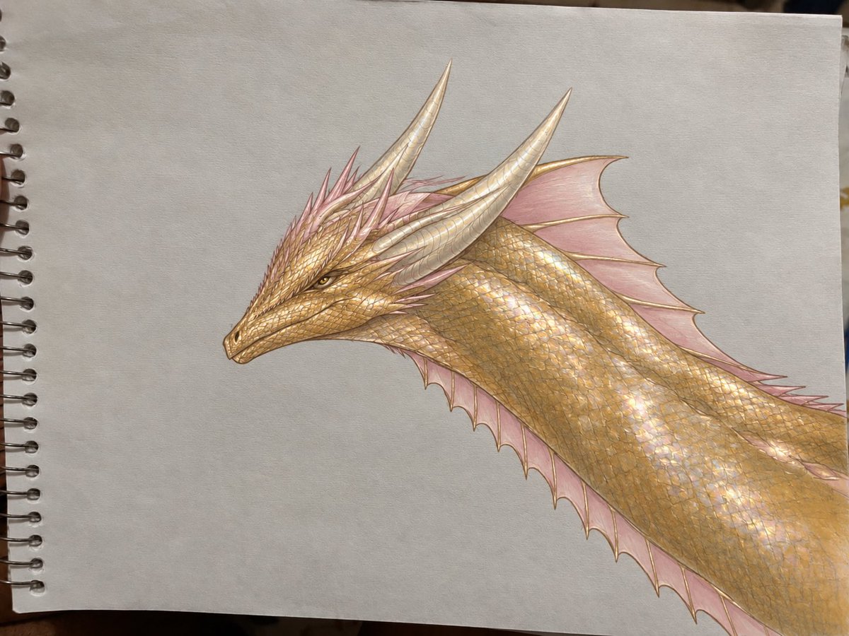 rainostalgico89's tweet photo. to orgulhoso do meu desenho de sunfyre, e o chat gpt fechou com a descrição de cor q eu dei https://t.co/JghsF6Fs05