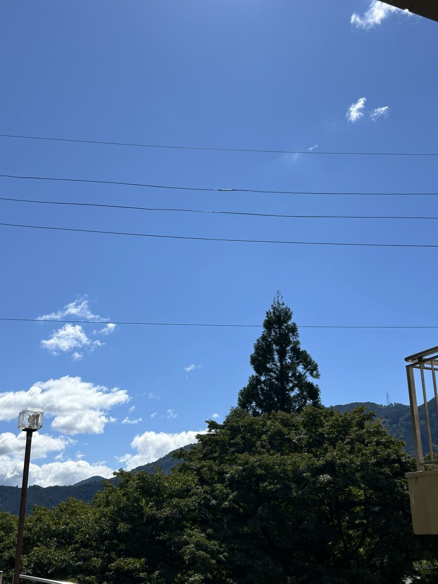 gerohidasanso's tweet photo. おはようございます。青空が気持ちのいい朝です☀️

本日より休館いたします。

今日は厨房などの大掃除をしております。まだまだかかりそう…😅 https://t.co/6iXrOTVlFS