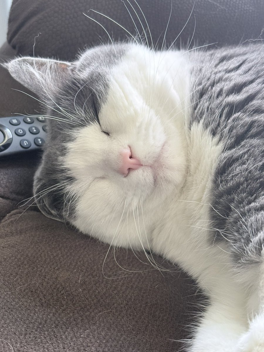 EepMeForLunch's tweet photo. Oh god my sweet baby https://t.co/vpRtWHEwIa