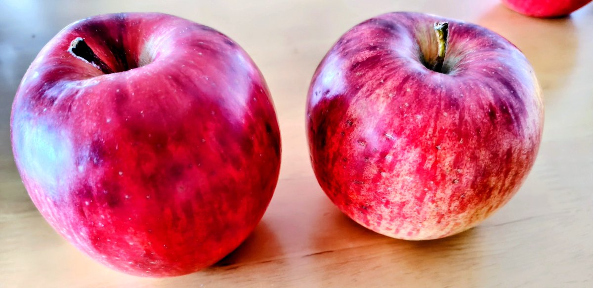 rai_duris's tweet photo. こんにちは！

スーパーで、リンゴ🍎が1個130円だったので買ってきました！

今年もあと三ヶ月ですね https://t.co/ma4I2E6TNN