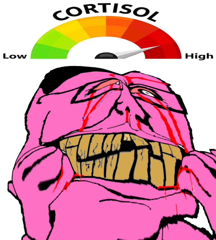 ShitpostRock's tweet photo. >download an older game
>doesn't launch on Windows 11
>needs a mod
>nexus mods is the only source
>i have been logged out AGAIN
>forgot my password
>reset my password and log in 
>download throttled down to 1mb/s https://t.co/YtfwPuYNib