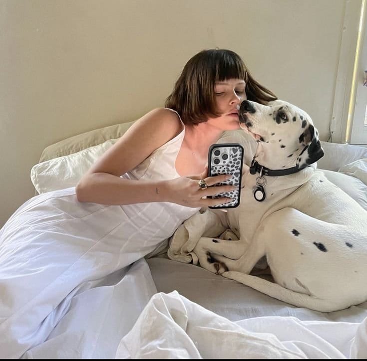 ASamuel1570's tweet photo. New session uploaded.
Deep, locked, and messy.
Private access — Link 🔗 🔗 🔗 
https://t.co/EWM4x1F3HX
#dogs #K9 #USA https://t.co/aXjfz5VGcM