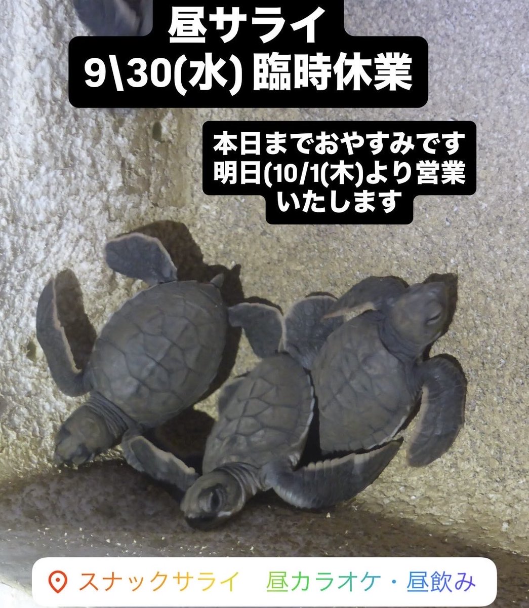 masako0000's tweet photo. こんにちは
茅ヶ崎駅南口スナックサライ昼カラオケまさこです
・9/30(水) 臨時休業
本日までおやすみです
明日(10/1(木))より営業いたします
よろしくお願いいたします

#湘南 #茅ヶ崎 #スナックサライ #昼カラオケ #昼カラ #カラオケ
#shonan #chigasaki #snack #sarai #karaoke #hirukara https://t.co/QYA1e7863k