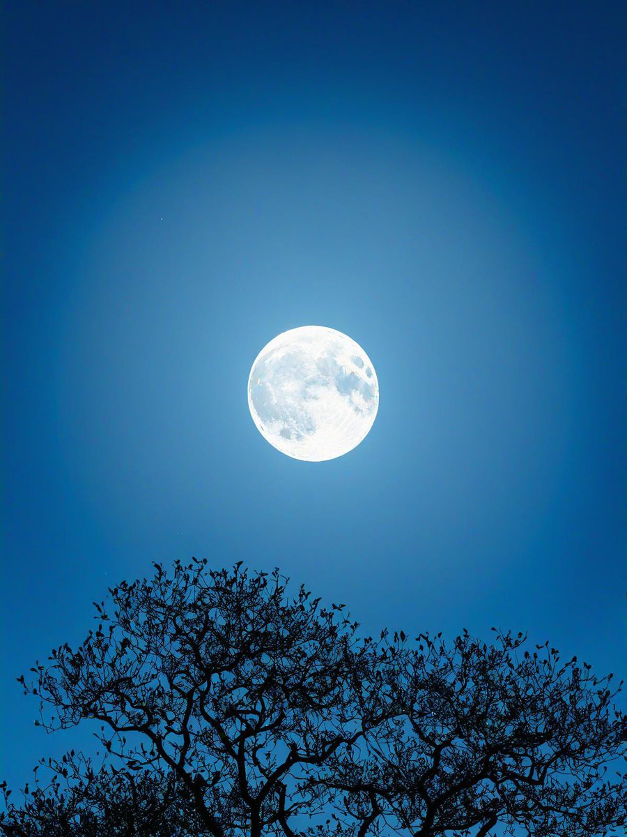 Jen_BlackP's tweet photo. [When the waxing moon marks the mid-autumn road trip, every mile feels warm under the sky.]， https://t.co/VO73onIRwg