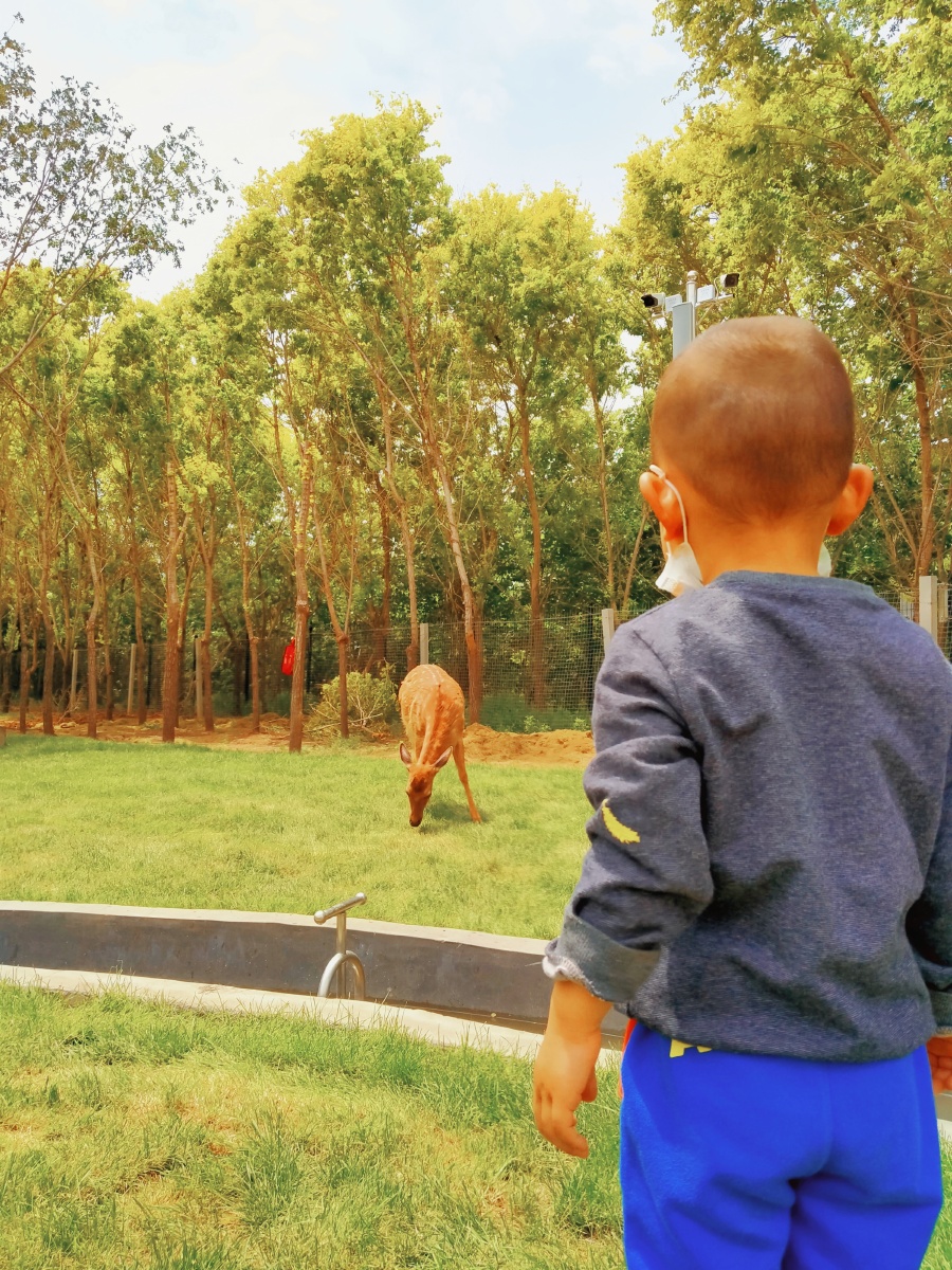 gimdaeya's tweet photo. This little "抠碌鸦" is super cute, waddling around curiously in the park ！ https://t.co/fhC6Qc1oSj