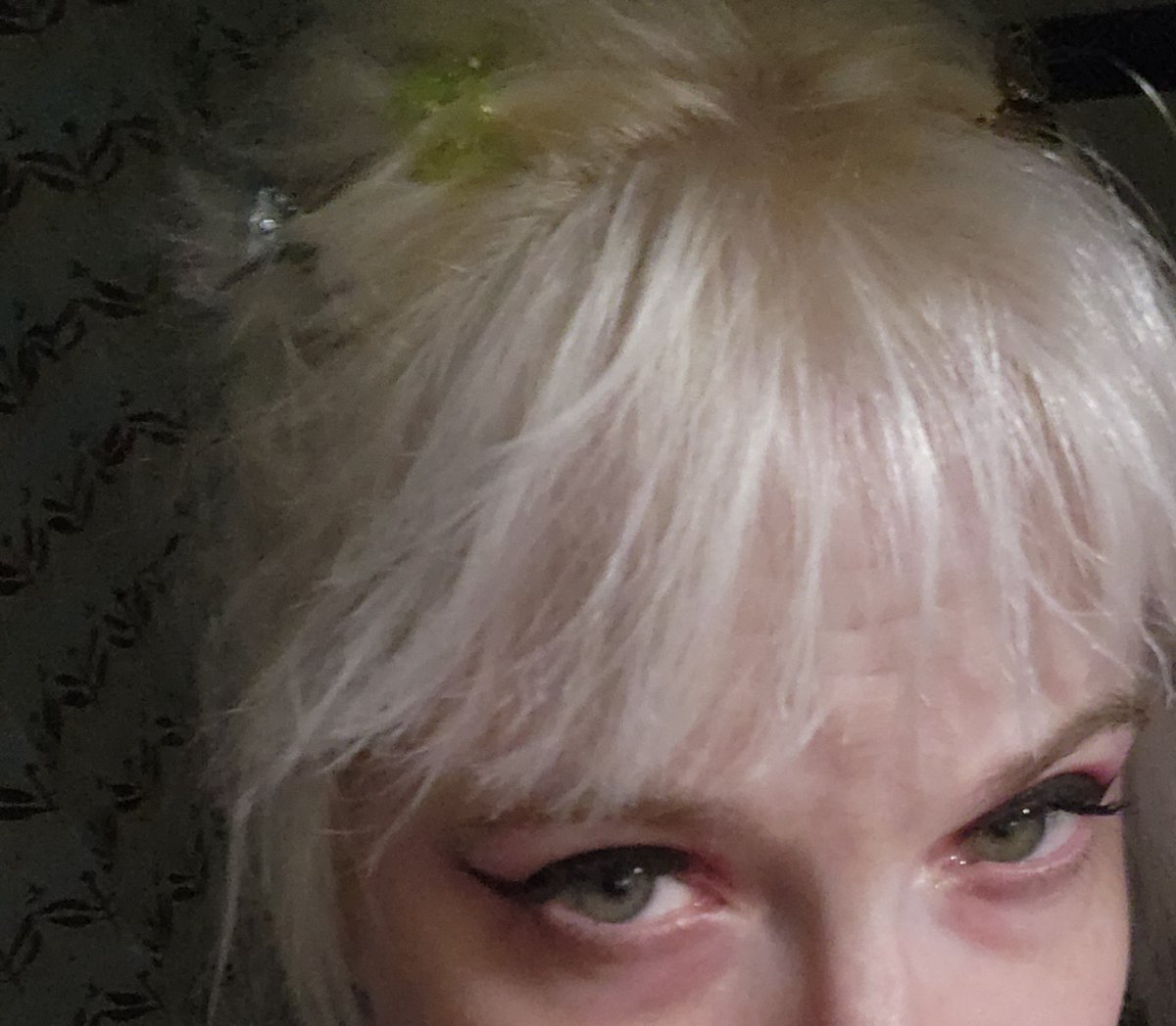 FlowersAgainst's tweet photo. Butterfly clips because we're #whimsymaxxing https://t.co/DtJhlWD860