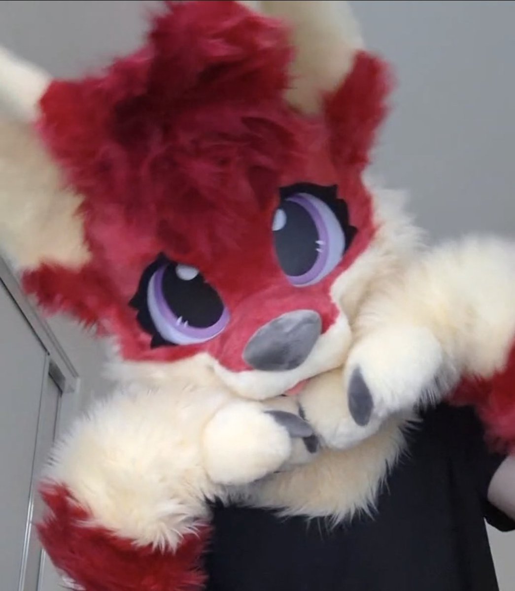 FoxoDaRed's tweet photo. I love my suit so much :3 #furry #fursuit #goober https://t.co/RP4lA7waWG