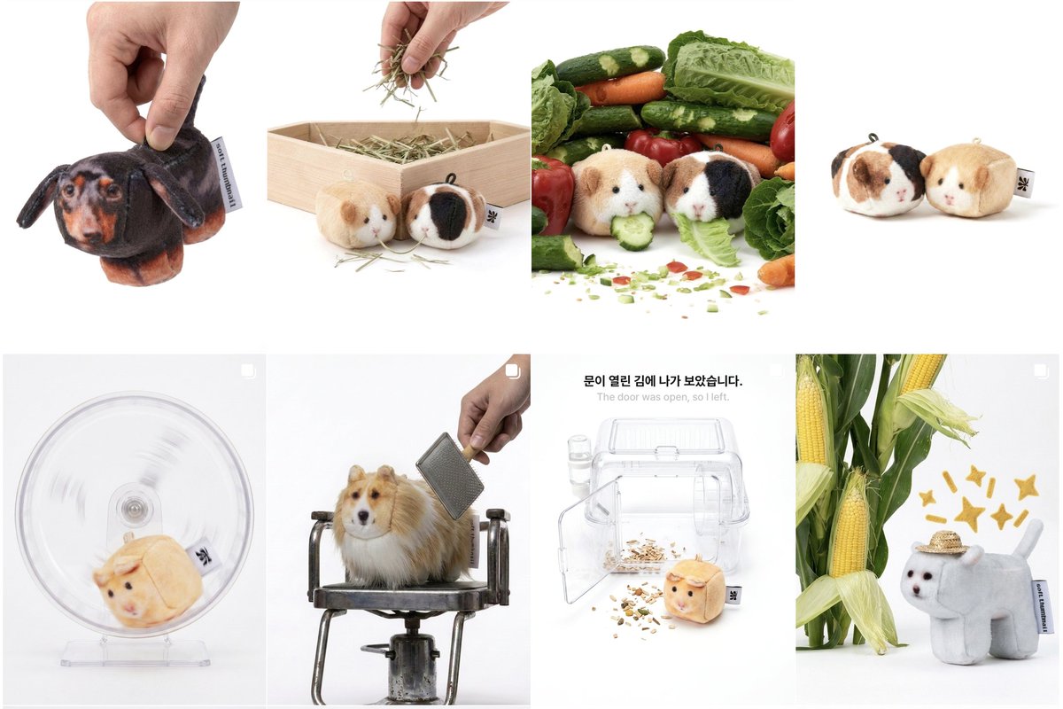 softthumbnailjp's tweet photo. 今日だけ送料無料だって.......
みんなゲットして〜！！🐹 https://t.co/nL5eQD1ex2