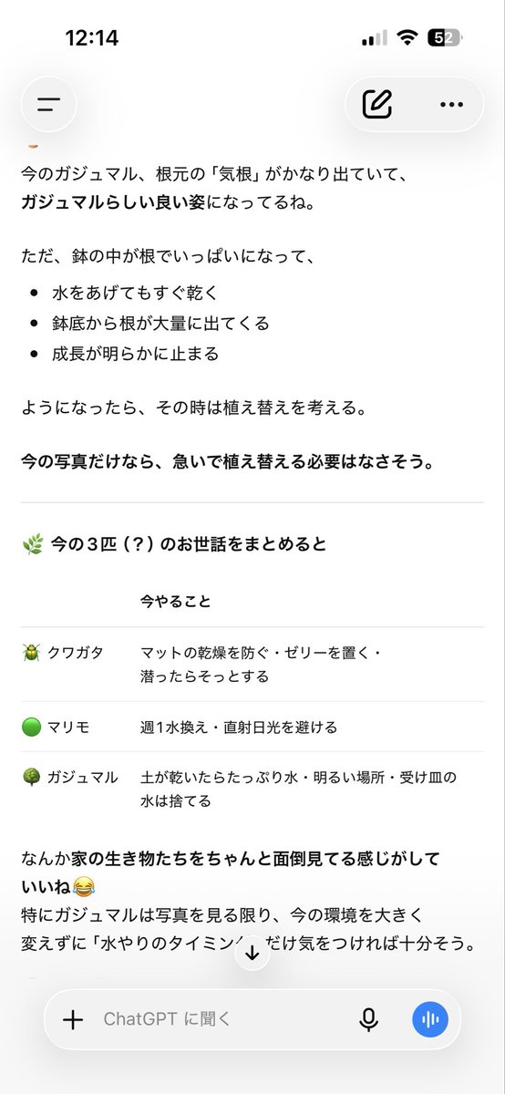 Crow_n07's tweet photo. お家にいる生き物たちのお世話🌱
クワガタは2週間ほど姿を見てないから死んじゃったかなって思ったけど昨日土を掘ってみたらまだ生きててびっくり😳冬眠する��しいです。

ちなみにみんなの名前は
クワガタ→すとれんじゃー
マリモ→もりぞう
ガジュマル→ガジュ
名付け親全て私🙋‍♀️笑 https://t.co/sfxbFhtCrp
