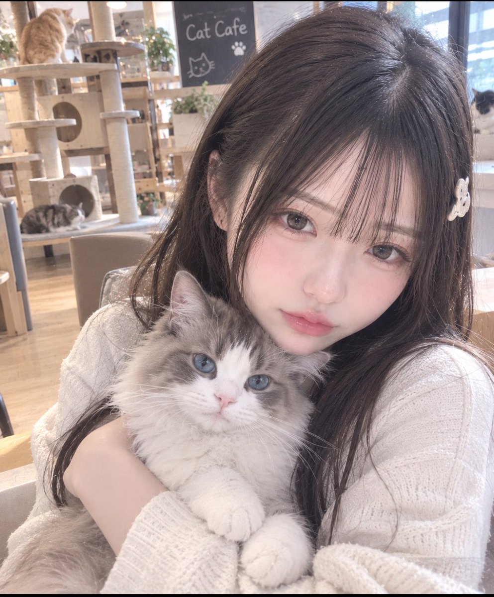 Motedou98p's tweet photo. 猫カフェに来た🐈🤍

さっきからずっとこの子を抱っこしてる。
かわいすぎて離せない…🥹

凛、猫飼いたくなってきたかも。

みんなは犬派？猫派？🐶🐱

#凛の日常 #猫カフェ #猫好き #AI女子 #AI美女 #AIart https://t.co/hyZCLPcZpm