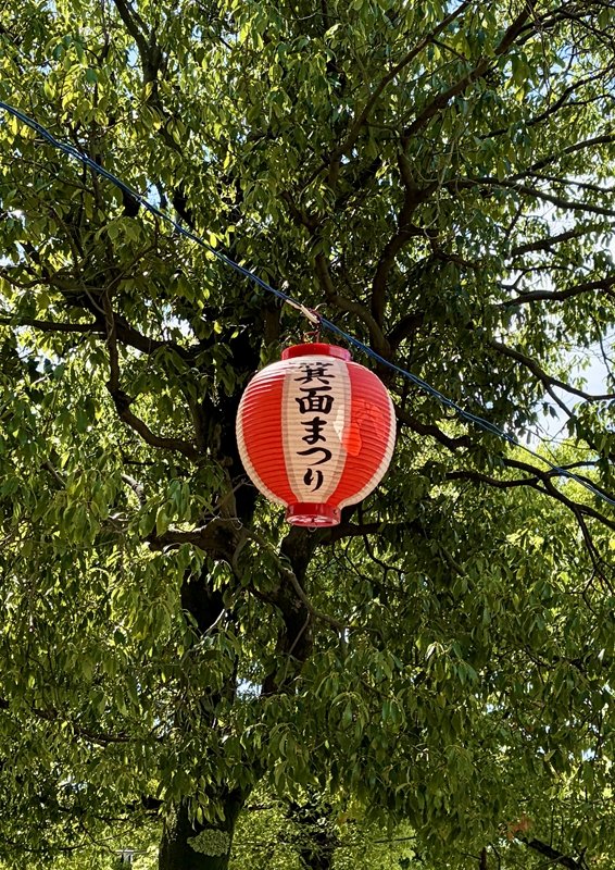 minohmatsuri's tweet photo. 📸箕面まつり開催まであと3日‼️
🏮少しずつ提灯が増え、屋外ステージ設営も始まりました。
（公園利用者様にはご迷惑をおかけしてすみません）

着々と準備をすすめてますので、どうぞお楽しみに✨✨

#箕面まつり
#minoh #箕面 https://t.co/oWeycAGxbb
