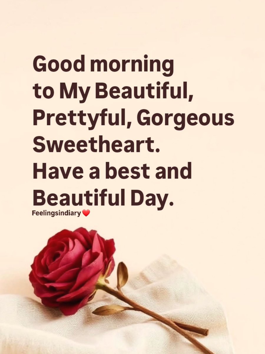 bdalal1976's tweet photo. @NganHa199 https://t.co/YFmqo0gw8B