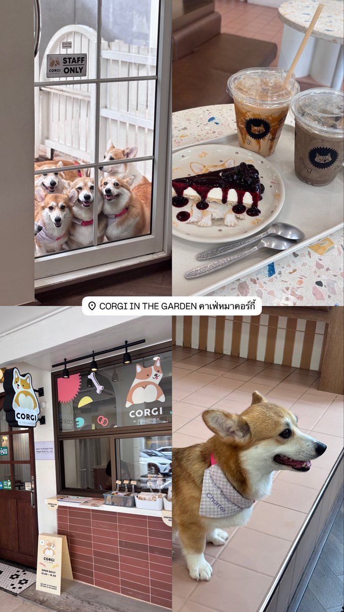 viewwrs's tweet photo. 🐶Corgi in the Garden เจริญนคร
🍳Huss Plate สุขุมวิท60
🌸Old Daisy Cafe หัวลำโพง
☔️Summer Rain Cafe งามวงศ์วาน https://t.co/1JA2DJnrYY