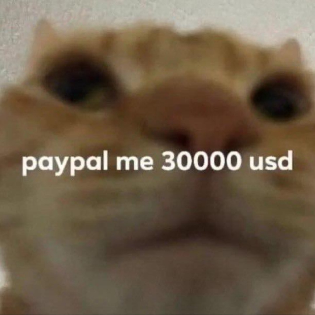 PunchingCat's tweet photo. https://t.co/vxHElYkRpn