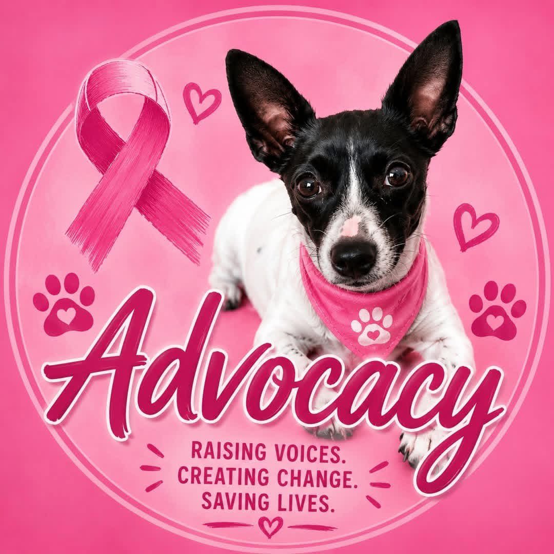 PinkBusTour's tweet photo. As #ThePinkBusTour prepares to roll through #Alabama, #Georgia, and #Florida, we are excited to be supported by #PetAmbassadors. 

#WheresJoJo #WheresJoJoThePinkBus #BreastCancerAwareness #BreastCancer https://t.co/T4WcF4GT7C