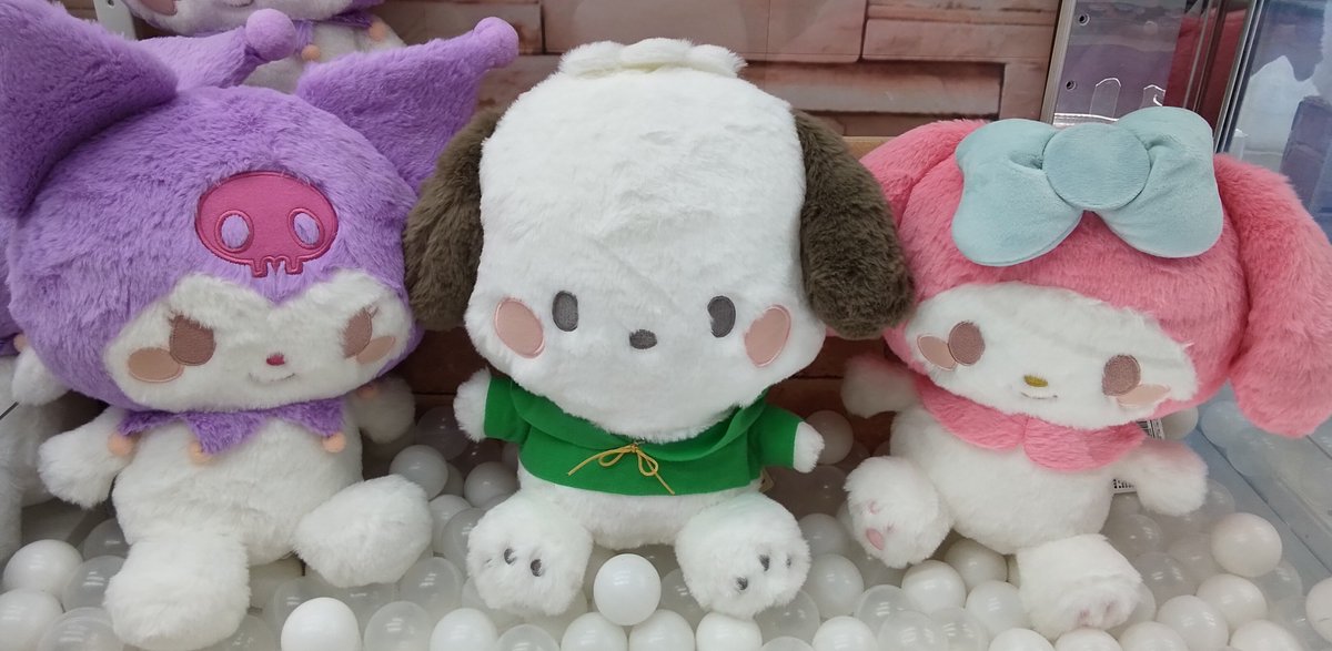 leisurelanootsu's tweet photo. 【プライズ】本日新入荷！
『サンリオキャラクターズ むきゅむきゅドールBIGタイプ2』
#サンリオ #プライズ #クレーンゲーム #UFOキャッチャー #大津 https://t.co/Q8XBSeChTk