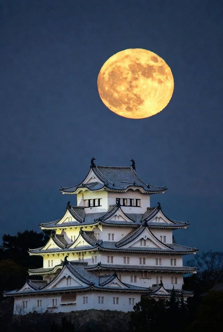 Amazing_Views7's tweet photo. Osaka Japan 🇯🇵 https://t.co/Y00hHdmgi6