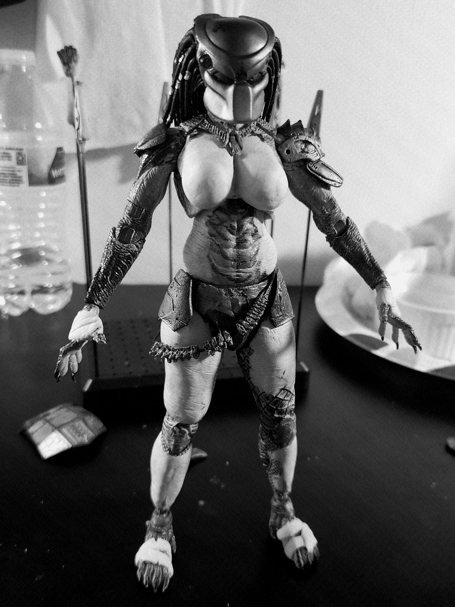 Bubba_Gump74's tweet photo. Slowly chipping away at the female yautja custom 
Still a long way to go!
#neca #customfigure #yautja #femaleyautja #predator https://t.co/B8gZ67QguQ