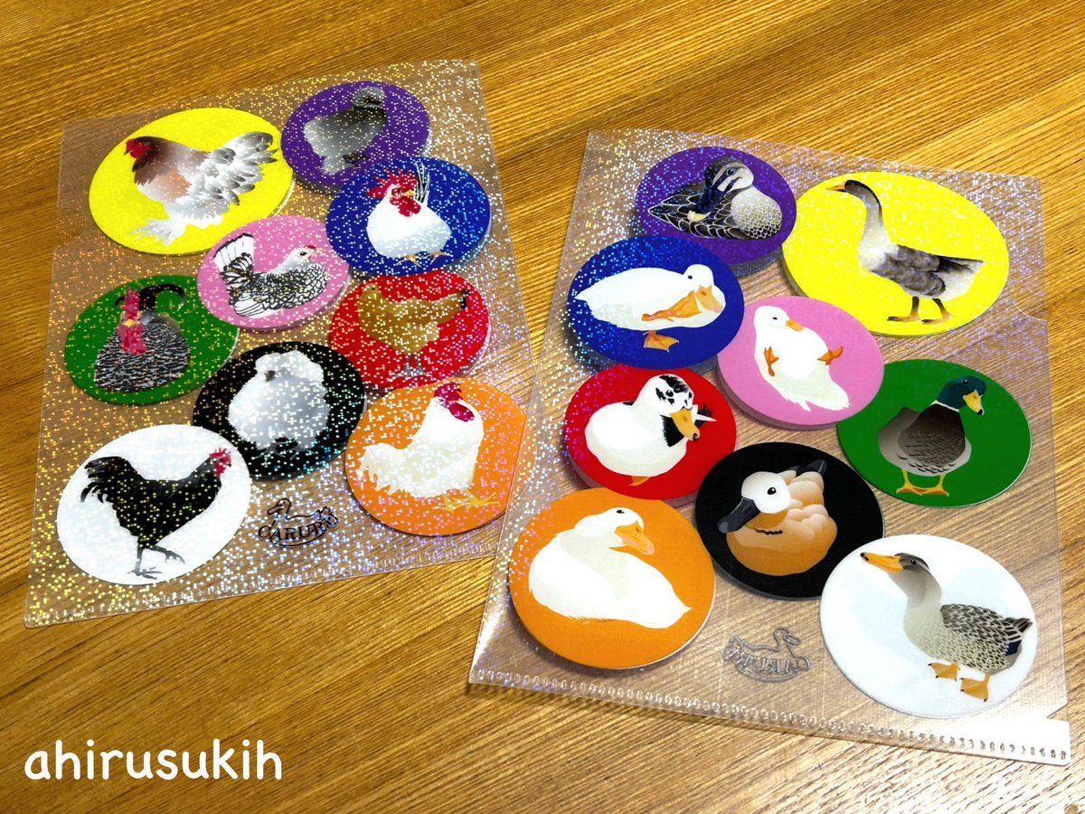 ahirusuki0609's tweet photo. 【鳩さんのモデルさん募集】

鳩さん作品用のイラストを描くにあたり、モデルにしてもいいよーという鳩さんのお写真を募集します
CARURUでは「リアル可愛い」をコンセプトに鳥さんをイラストにしておりますが、私が見たその子のチャームポイントを若干強調したりはします
全員は描けないかもですが、たくさんのご応募お待ちしております🐦

《お写真の条件》
※そのまま描きますので、頭からあんよまで全身が入っているもの（ポーズ等問わず）
※色や柄が分かりやすい明るいお写真であること
※送ってくださる方がご自身で撮影されたもの
※作品にして販売するのでその許可がいただける方
※DMにて送っていただける方

普段はあひるさんとにわとりさんを描いています
参考までにクリアファイルにした時の画像を載せておきますね
お写真は何枚送ってくださっても大丈夫です
よろしくお願いします