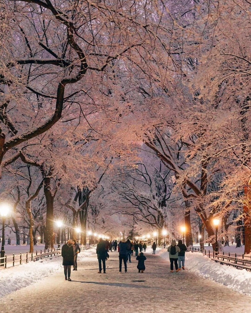 PrettyCitiesX's tweet photo. Central Park New York 🇺🇸 https://t.co/PdZD0yewf3