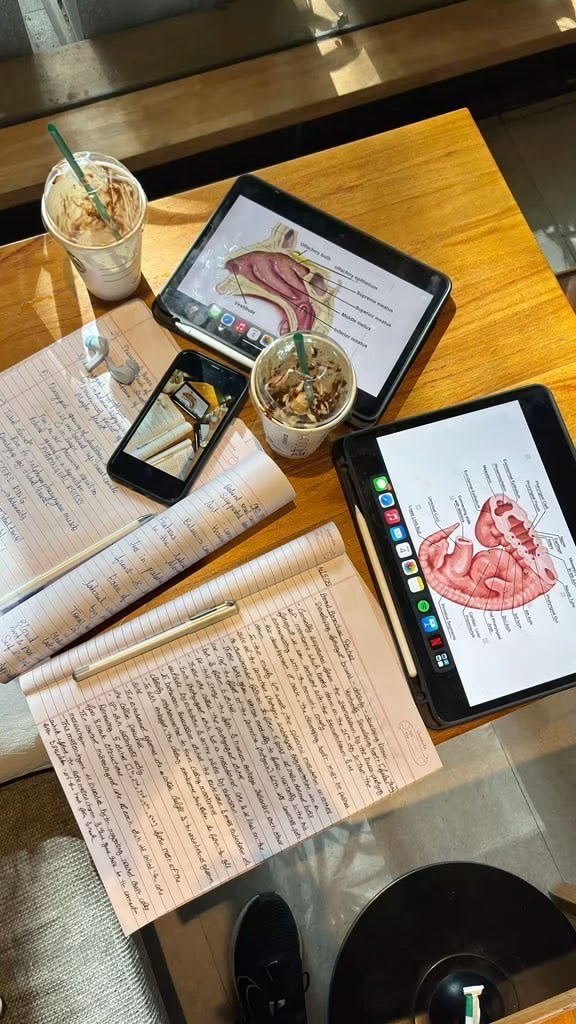 ceelune_'s tweet photo. sticking to the plan and not the mood https://t.co/ogw1K0Mz3m