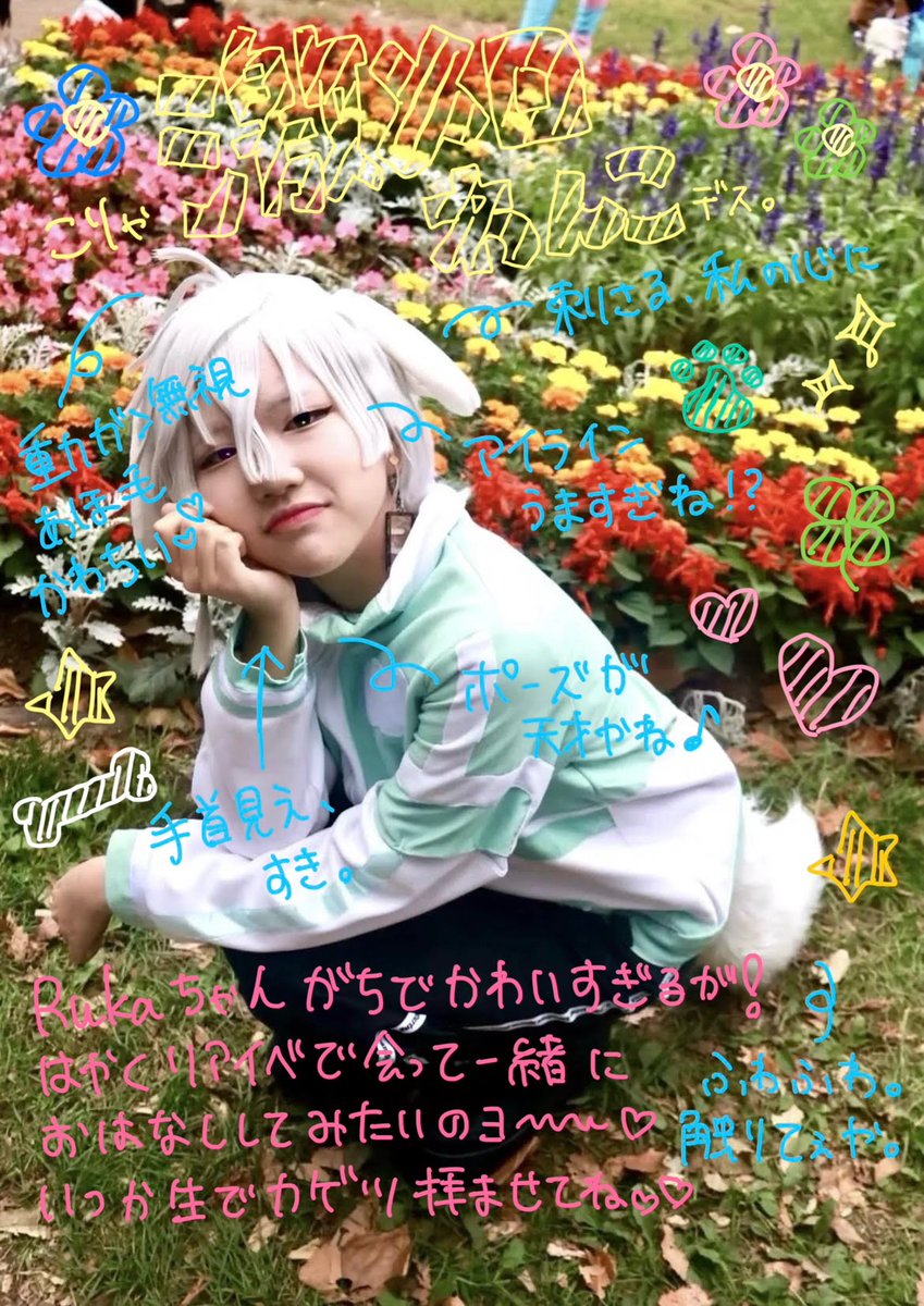 una_lus2's tweet photo. Rukaちゃん（@ruka284675）のばちかわ激メロわんこちゃんです👈🏻
はやく会いたい🎶 https://t.co/jG0qIN1r8s