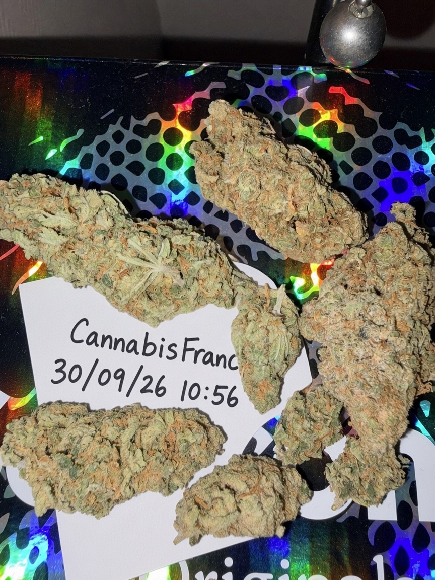 cannabisFranc's tweet photo. Weed op rapide/Discret
Télégram: https://t.co/OlMEChr3BG
#weed #shit #Paris #Pointivy #Toulouse #Bordeaux #Marseille #Rennes #Ploërmel #Lille #Saintes #Avignon #Rouen #Arcachon #Morlaix #Libourne https://t.co/UT00WAWZFs