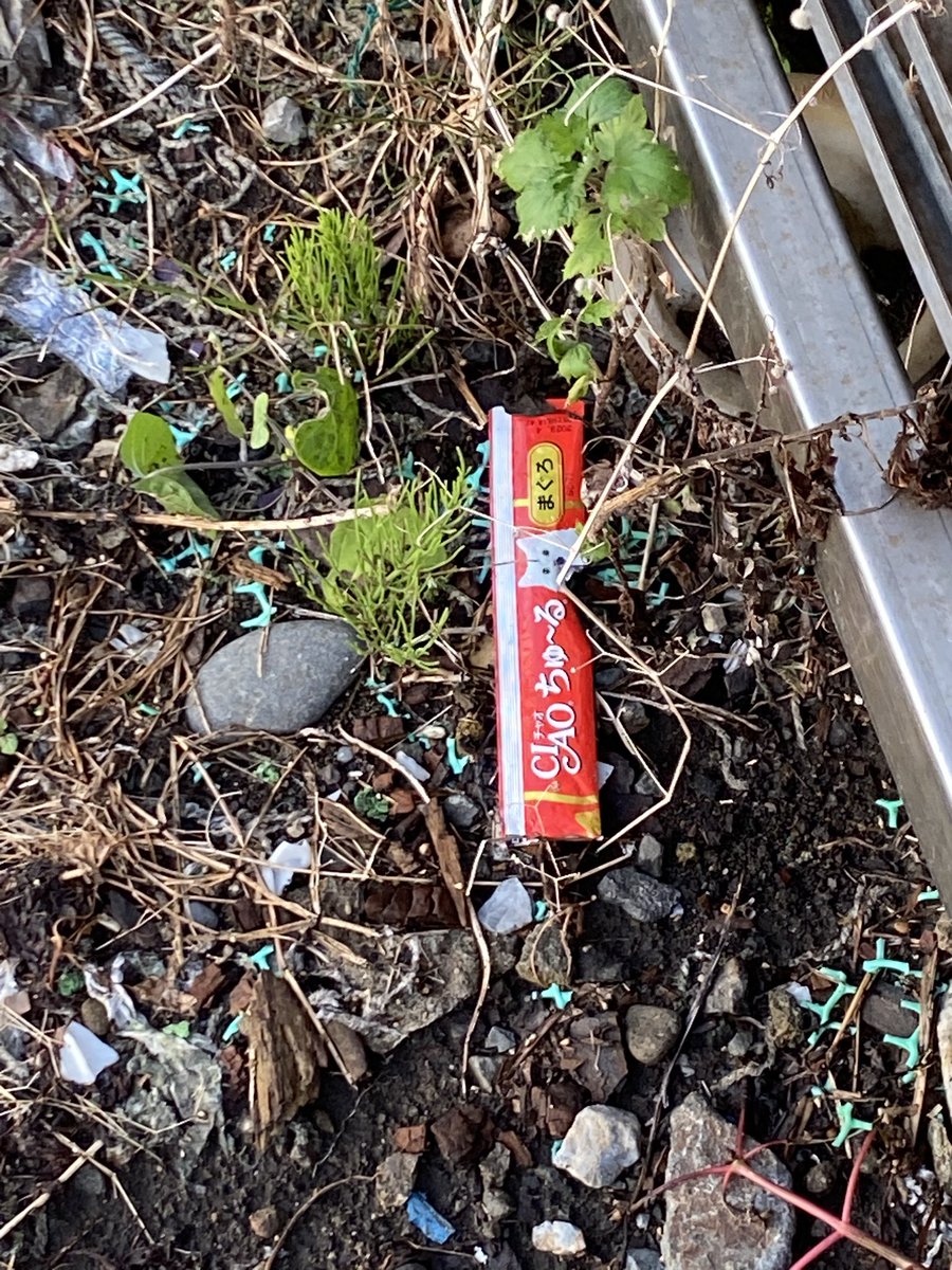 tetsu_tochi's tweet photo. こういうことするから住民に嫌われて周りまわって船見町みたいに猫が虐待されるんです
ちゃんと片付けて！ https://t.co/JqyZtpuriQ