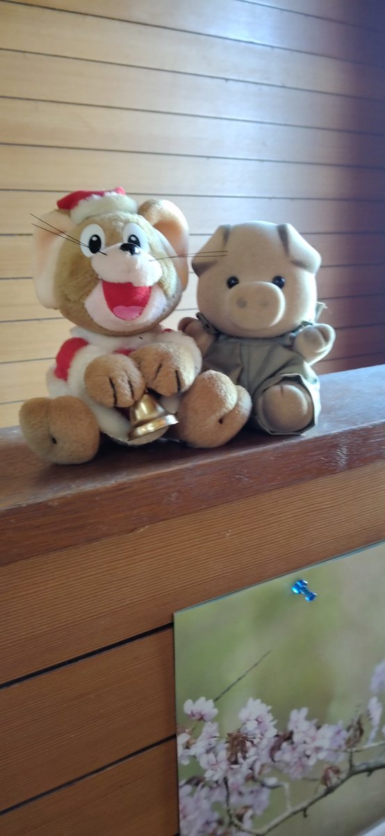mitemitetotoro's tweet photo. 北海道東積丹の漁港で
アキアジのふかせ釣りに
挑戦しましたが
エサ取りの猛攻撃👊😡💣️
明日か10月ですね😺
北海道の石狩管内でも
ゲキシブ状態ですね😰
色々な川を見て来ましたが
���ぼの川にはアキアジの
姿は確認できませんでした
今後に少しの期待を願い
ユーチュブに動画を
配信します😺🐻 https://t.co/sjkMydFr6r