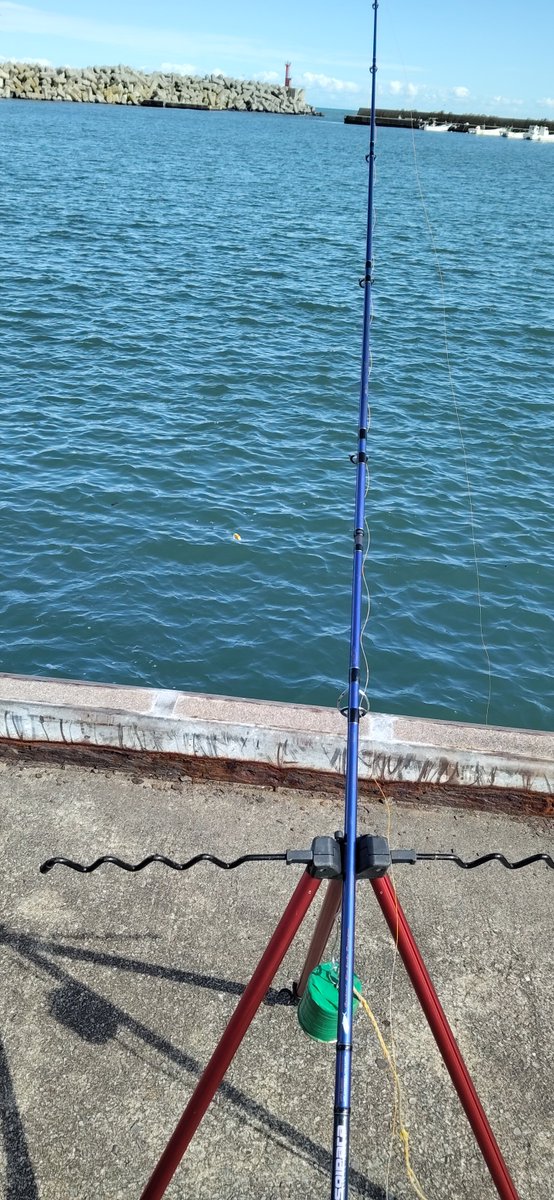 mitemitetotoro's tweet photo. 北海道東積丹の漁港で
アキアジのふかせ釣りに
挑戦しましたが
エサ取りの猛攻撃👊😡💣️
明日か10月ですね😺
北海道の石狩管内でも
ゲキシブ状態ですね😰
色々な川を見て来ましたが
���ぼの川にはアキアジの
姿は確認できませんでした
今後に少しの期待を願い
ユーチュブに動画を
配信します😺🐻 https://t.co/sjkMydFr6r