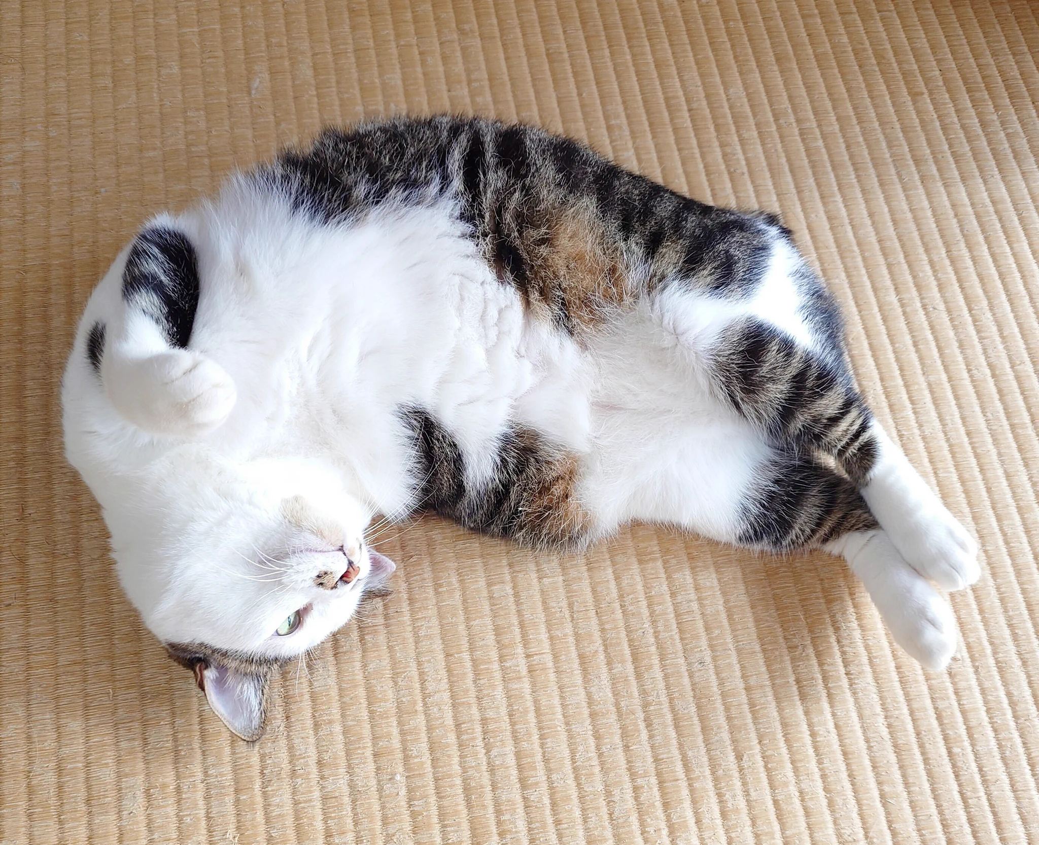 のりまき様へ♥9/25 のりまきとやさしい毎日 على X: 