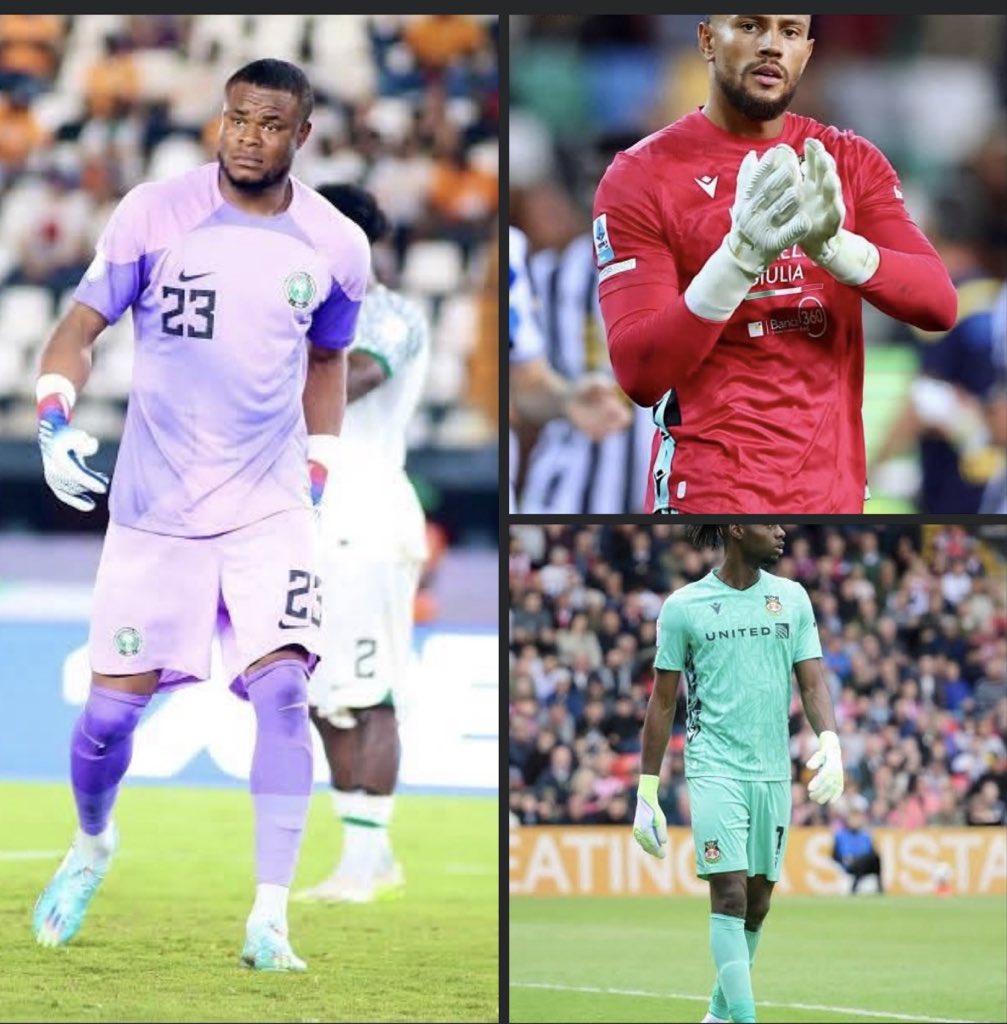 NaijaNowFb's tweet photo. Who should be the starting goalkeeper for the Super Eagles of Nigeria Next Match? 🇳🇬 

A) Stanley Nwabali
B)Maduka Okoye
C) Arthur Okonkwo

#Supereagles https://t.co/CBEAzbgfhV