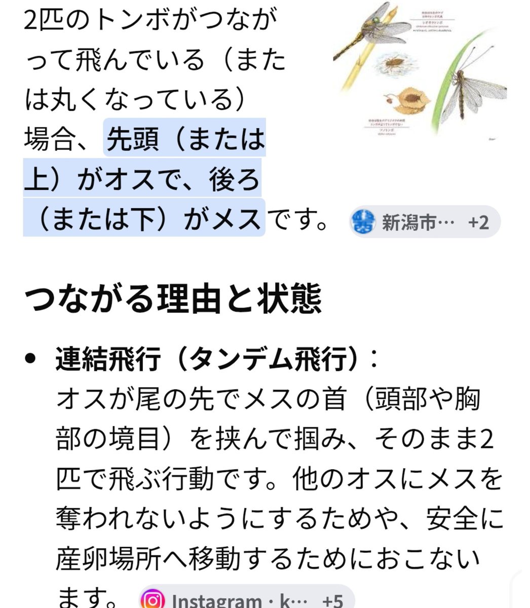 nyanberisa's tweet photo. @ta22_yos トンボ不思議だね https://t.co/UWtuYzLdOR