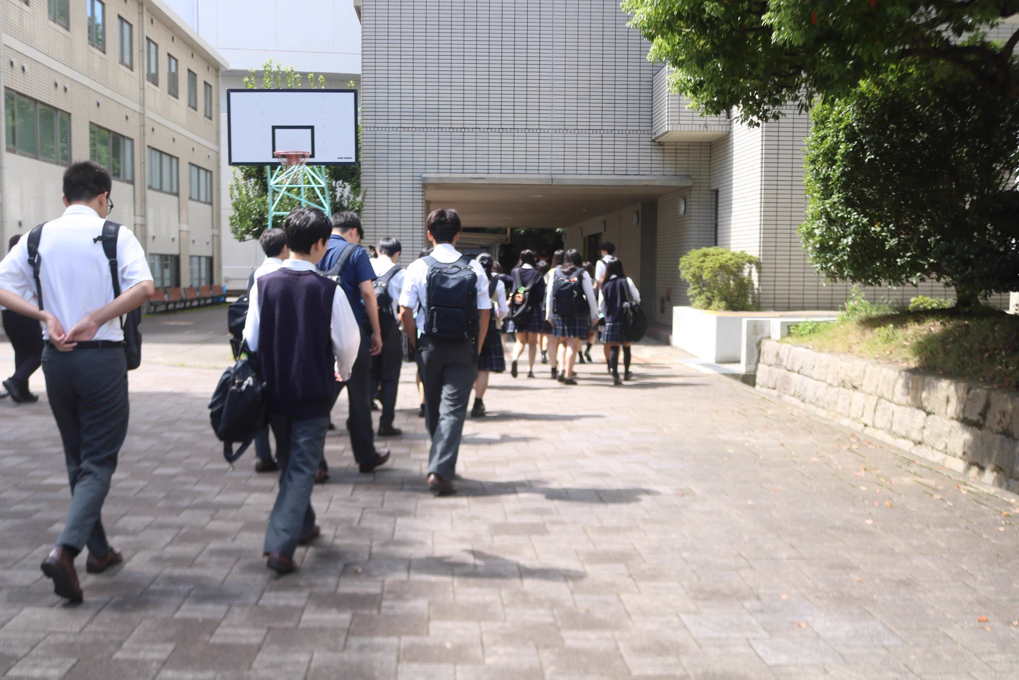 大阪 青山 大学