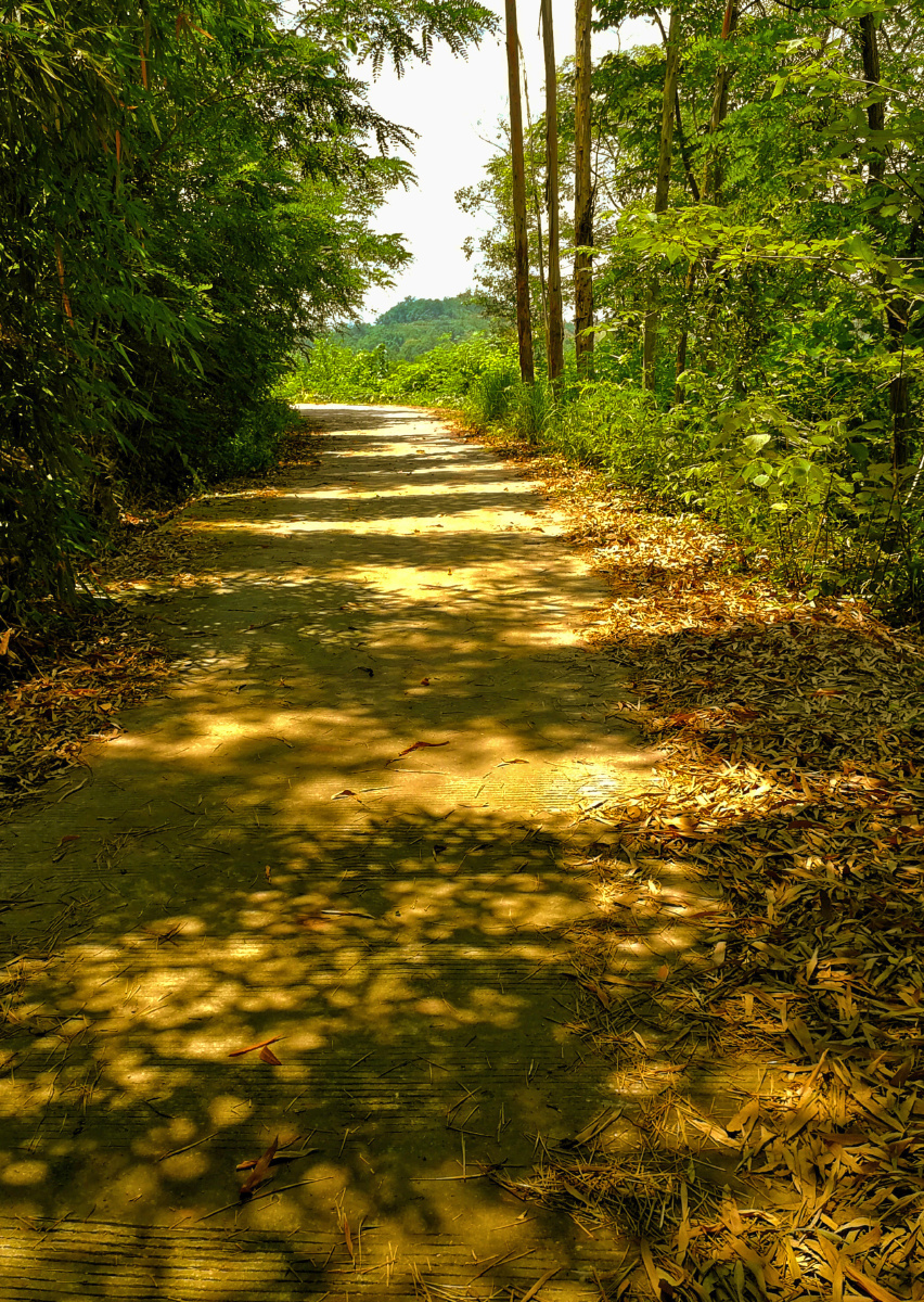 grvbobb733's tweet photo. The road has bumps, but I'll keep moving forward, overcoming every obstacle. https://t.co/b6bQruUZVI