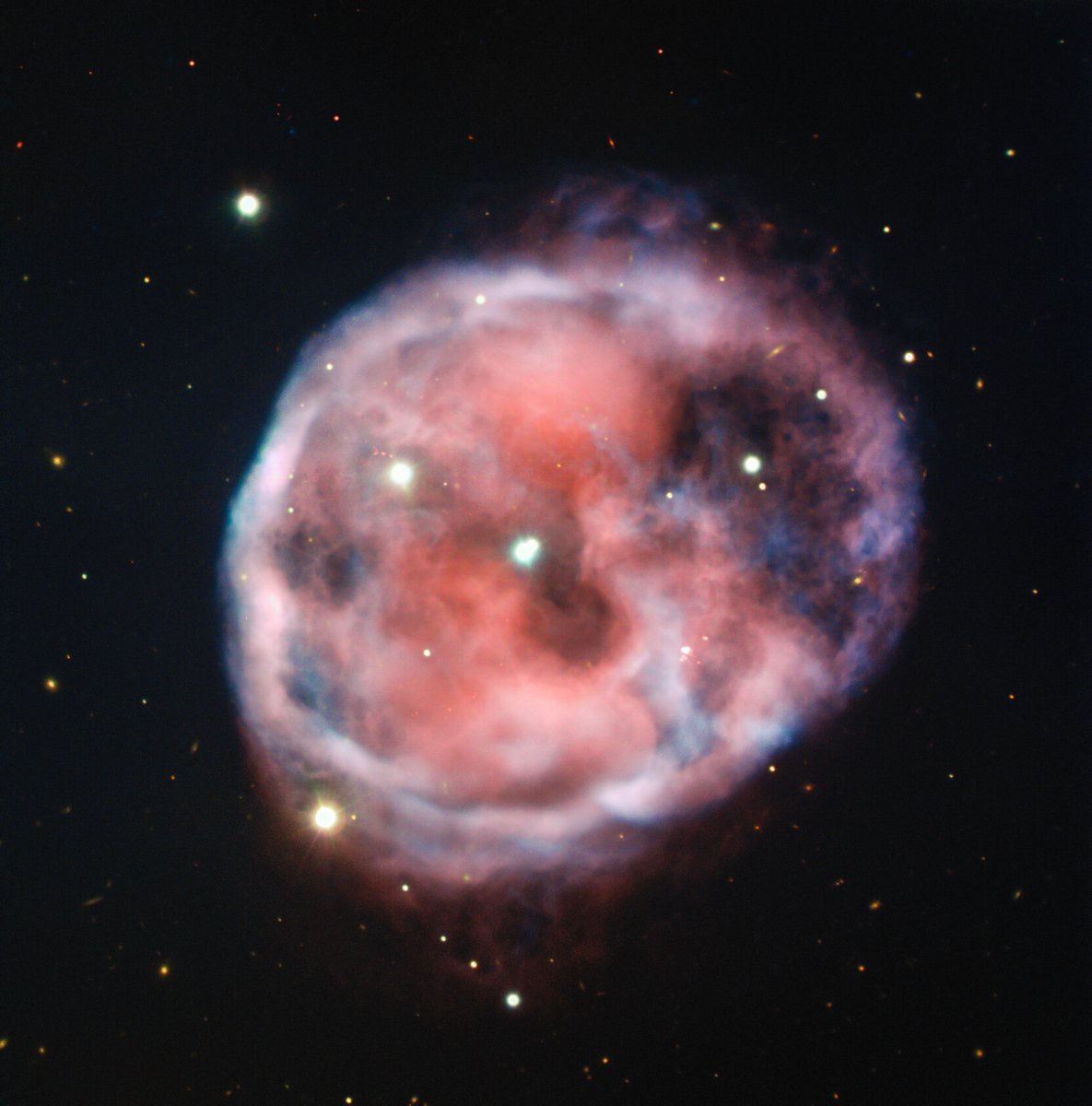 Astropics_bb's tweet photo. ESO（ヨーロッパ南天天文台）のVLT（超大型望遠鏡）で撮影された惑星状星雲NGC 246。「どくろ星雲」とも呼ばれる天体で、この画像は2020年のハロウィンの直前（10月30日）にESOから公開されました。

https://t.co/CsKqGpjHRX

Image Credit: ESO https://t.co/26D0c2UPfz