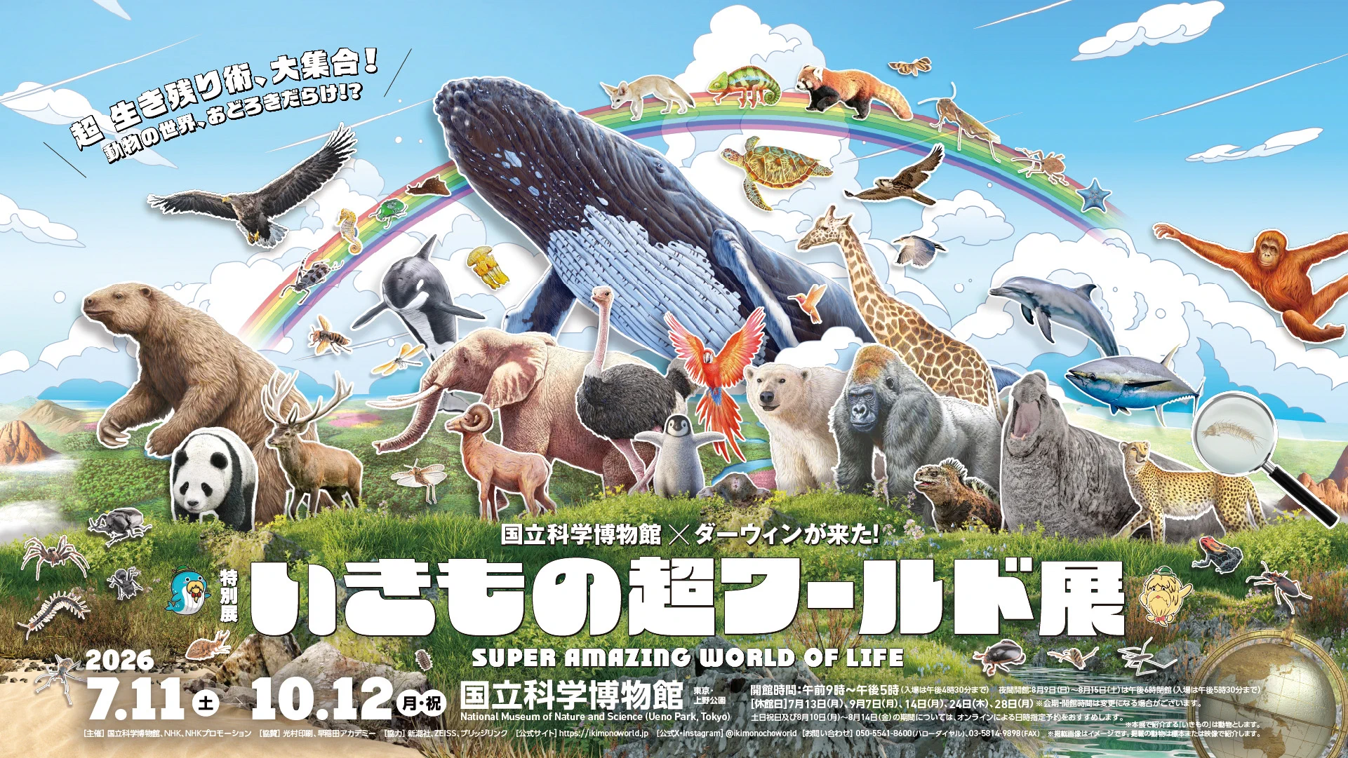 うしらかページ くじらタウン on X: 
