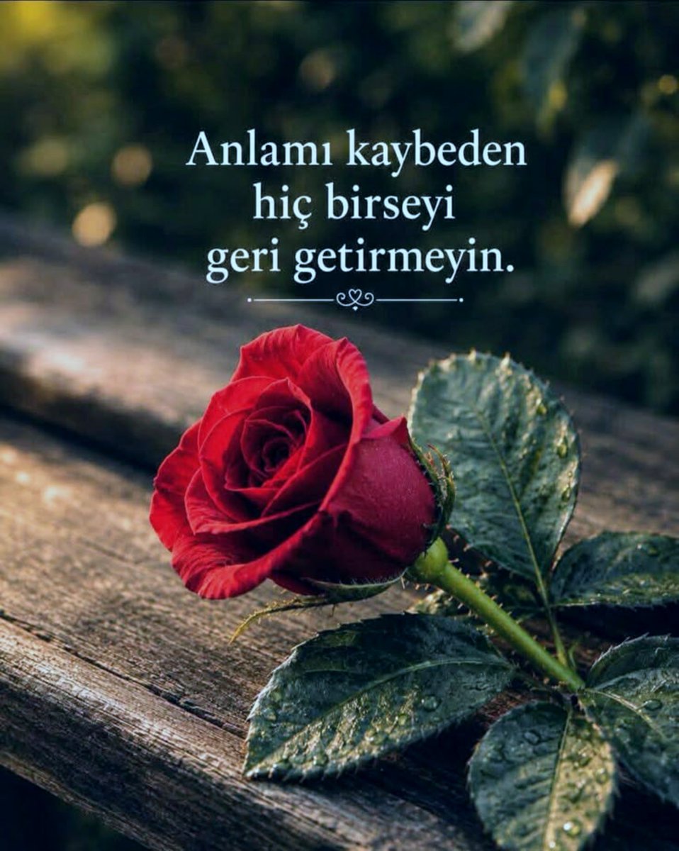 _yagmur_sima's tweet photo. ..... 

💚🌹 https://t.co/0ZXlzYh8ch