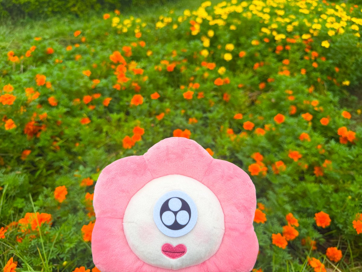 otasukebu_anime's tweet photo. ＼＼＼｜｜｜｜／／／　
　オハナちゃん降臨
／／／｜｜｜｜＼＼＼

地球をお花でいっぱいにするためにやってきた宇宙人✨
どんな時もめげずに頑張るオハナちゃんの様子を
スタッフが時々お届けします💞

みんなも素敵なお花を見つけたら教えてね🌼

#オハナちゃん地球制服　#メガネ時々ヤンキーくん https://t.co/v8MlPe4MJI