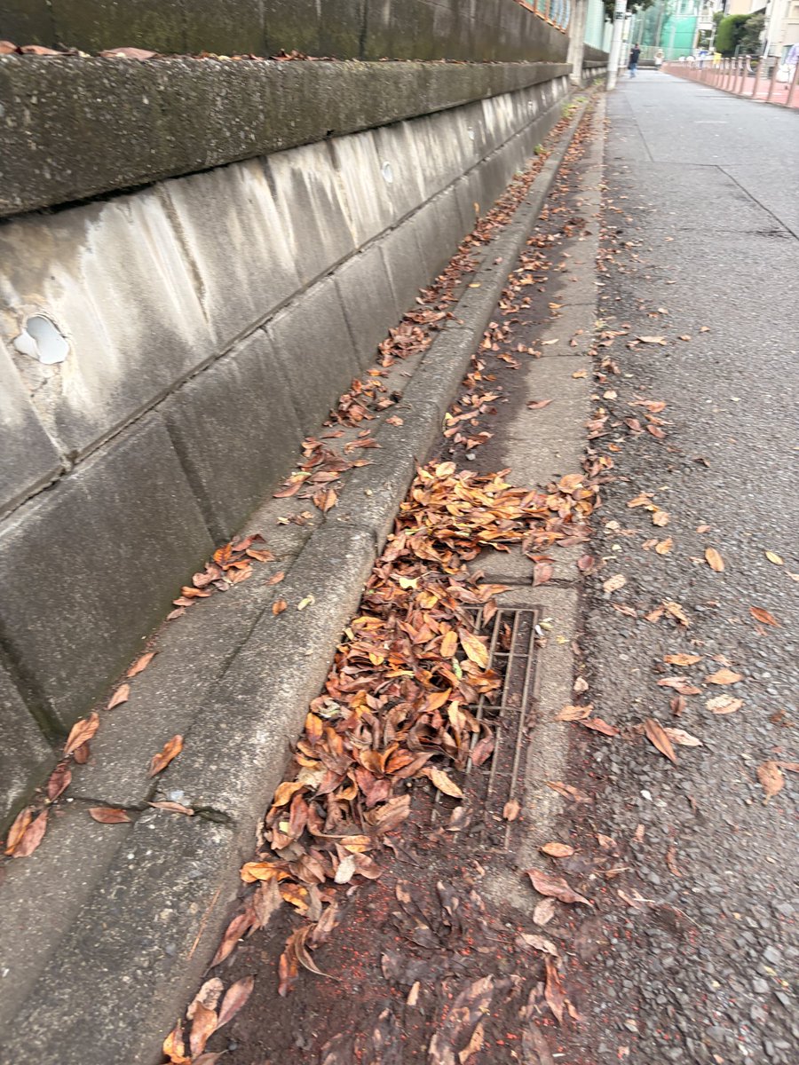 satomana_1's tweet photo. 【地域の除草・清掃について対応を依頼しました】
議会から現地に急行‼️
市民の方からご相談をいただき現地を確認
草が生い茂る場所や排水口付近に落ち葉がたまっている状況を所管に伝え、除草・清掃を依頼しました📝

こうした対応で感じるのは、
『作業の記録を次の管理に活かせないか』ということ

・いつ どこで どんな作業をしたか
・繰り返し対応が必要になる場所はどこか

こうした情報をデータで整理・共有して、季節や現場の状況に合わせた定���的な作業につなげる…

市民の方がその都度相談する手間も、職員の方が確認や手配をする負担も減らしていく🖐️

こういう身近な改善もDXだと思います😊

今ある記録や管理方法を確認しながら、相談への対応を次の改善につなげる仕組みを考えていきたいです

#行政DX
#市民サービスの向上
#批判より改善する議員