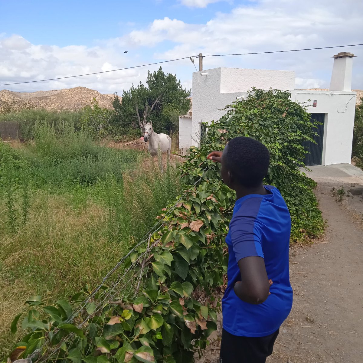aNOESSO's tweet photo. Los niños/as y adolescentes del C.P.M. Casa “La Fuente” han disfrutado del contacto con la naturaleza recorriendo la Vía Verde de Lucainena de las Torres y visitando los antiguos Hornos de Calcinación.
Una jornada para compartir, aprender y construir experiencias juntos💚 https://t.co/zQaQraGd31