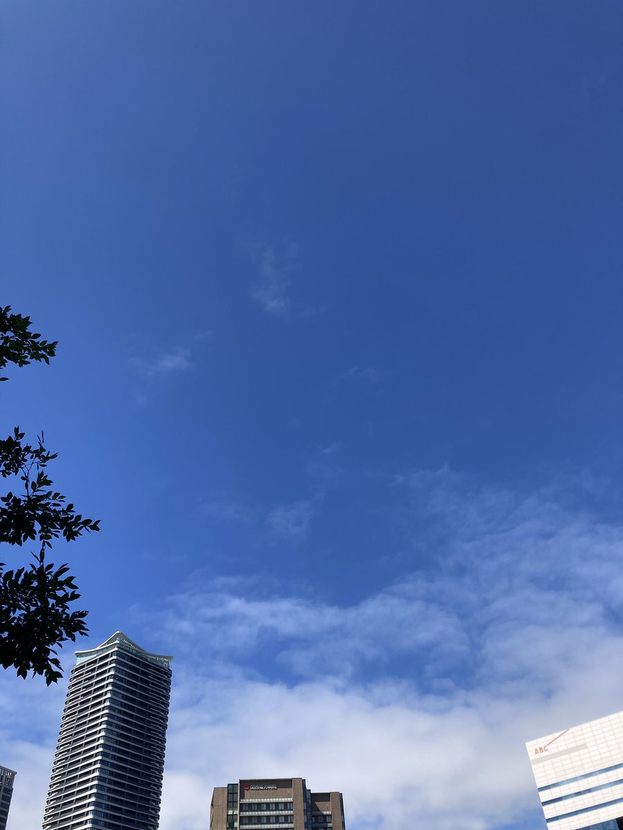 naomako3's tweet photo. 本日11:00に退院。杖なしで歩いて駐車場まで。その後、某ホテルのランチで退院祝いしてもらいました。
雨続きだったのが晴天☀️神様、ご先祖様、みんなが祝福してくれているようで嬉しい。ありがとうございます。感謝🙏✨
#両足人工股関節手術退院 https://t.co/aAJkbqARvd