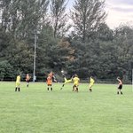 Photo by PEhalewood (@HalewoodPE)