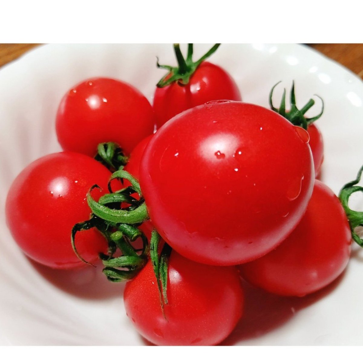 duffypucci126's tweet photo. @yasudaantarou 安田たうんのフルティカトマト🍅の味を知ったら…ね😂

宝石みたいな安田たうんのトマト
の美味しさをたくさんの人に知ってもらえるといいね(⁠≧⁠▽⁠≦⁠人)❤
モッツアレラチーズとバジルとも合うがよ〜🎵 https://t.co/hjGguXrbDI