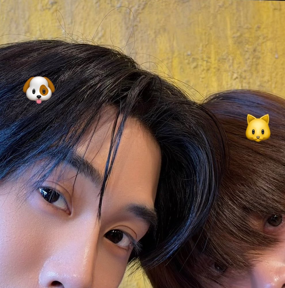tlesfirstone's tweet photo. my inkhun my puppykitty https://t.co/aoqTMuvk8S