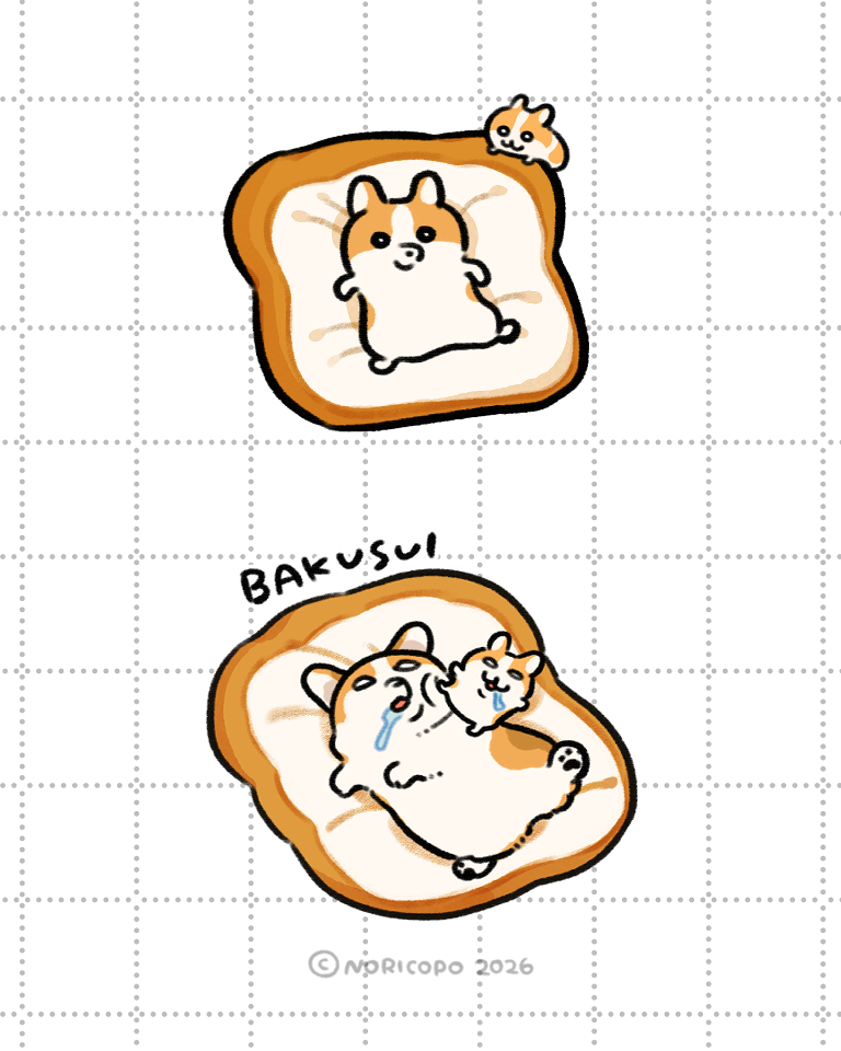 noporico's tweet photo. コーギー🍞🐾 https://t.co/GYMFVujQQ0